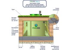 ГРИНЛОС Аква 10